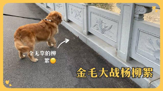 没事干的真实写照